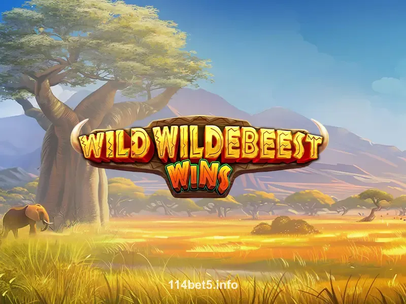 Wild Wildebeest Wins slot game on 114bet